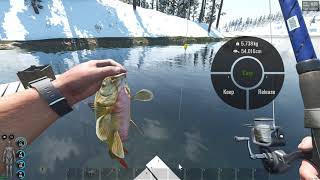 Rushed 'HOW TO'Scum Fishing & Cooking Video