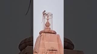 mhadev mehar ban to gtha bhi hai pelvan