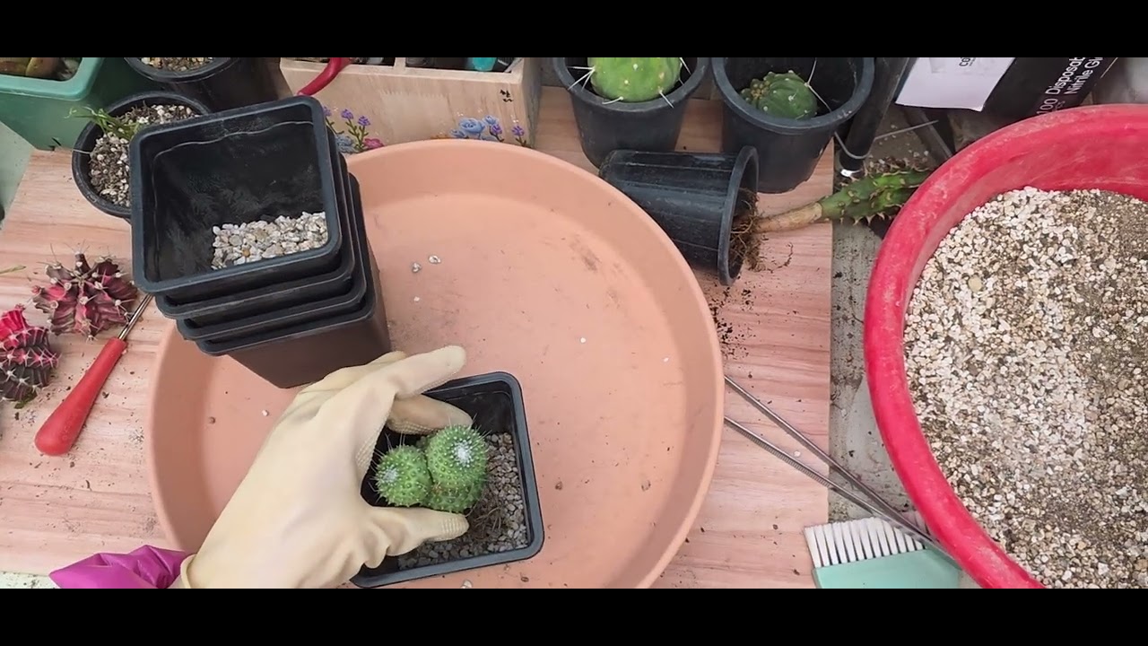 담주부터는 많이 춥다하네요 ㅇ몇아이만 