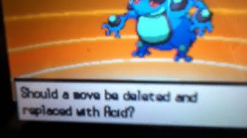 Palpitoad evolving into Seismitoad