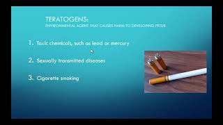 Chapter 9 - Prenatal Development