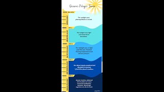 The 5 Ocean Zones Explained Educational Deep Sea Video Epipelagic To Hadal