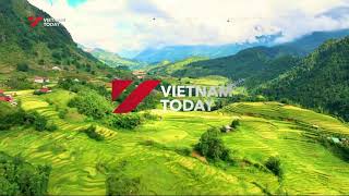 Vietnam Today (VIE) ident 2025 | #2 screenshot 3