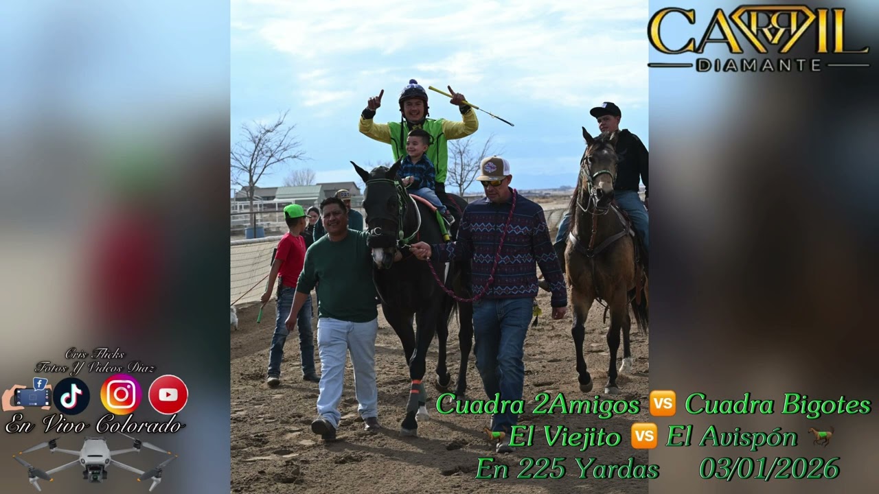 Carrera Entre Cuadra Bigotes 🆚 Cuadra 2 Amigos 🐎El Avispón 🆚 El Viejito🐎En  225 Yardas 03/01/26
