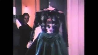 Celebrity Diana Vreeland-Moniek Beldman Wealth