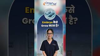 Day 1 in the IVF lab is where life quietly begins. ✨