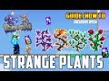 Terraria - Strange Plant Guide - What to do with Strange Plants? *How to  get special dyes!* - YouTube