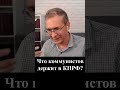 Что коммунистов держит в КПРФ?