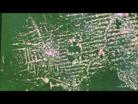 Amazon deforestation animation in Google Earth