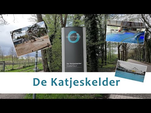 Video: Wat doen 'n kwytskelder?