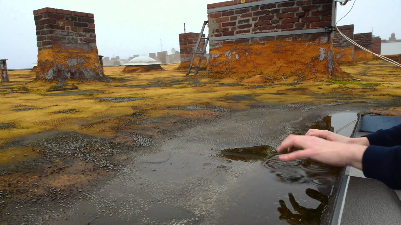 Agnes Obel - The Curse (Lambert Rework)