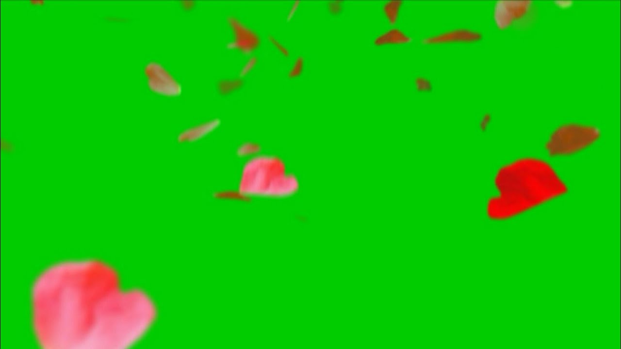 Green screen flower animation HD fx effect with sound 2. Flowers petals falling Green screen