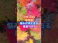 【9月15日】なぜか悩みが消え去る星座TOP5 #スピリチュアル #星座占い#人生好転 #9月の運勢
