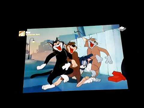 Boomerang UK Continuity 11 03 2019 