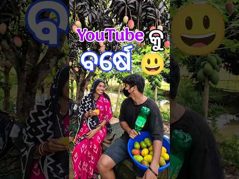 ଆମ YouTube କୁ ବର୍ଷେ ପୁରିଗଲା 😃 #Shorts #MiniVlog