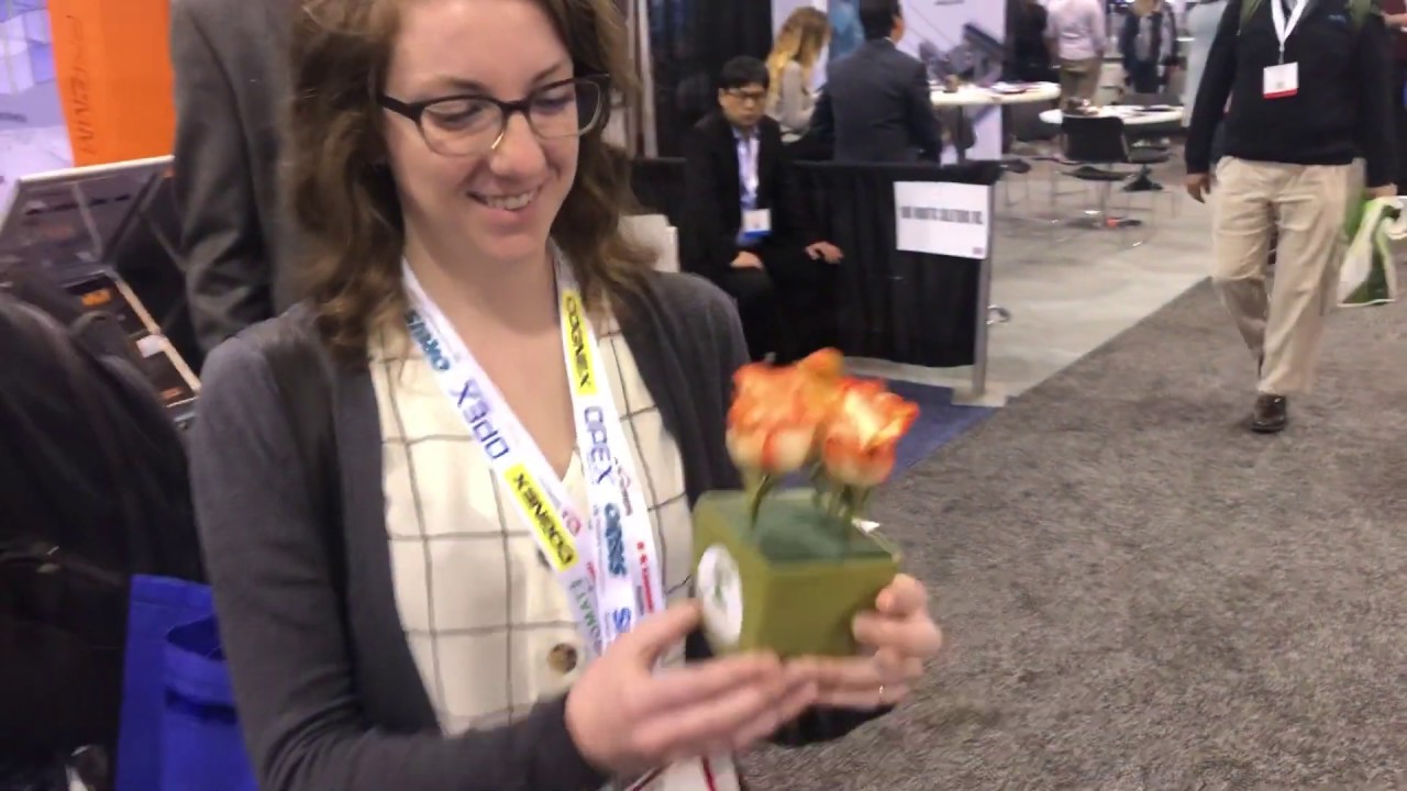 Gentle Arranging Flowers @ Automate 2019