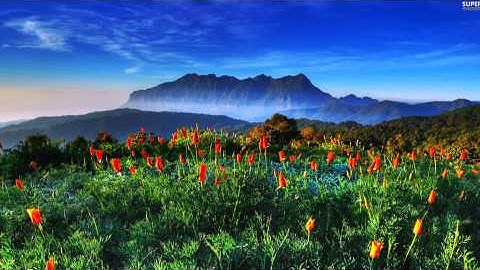 سورة الفتح عبدالرحمن السديس - Surah Al Fath Abdulrahman Al-Sudais