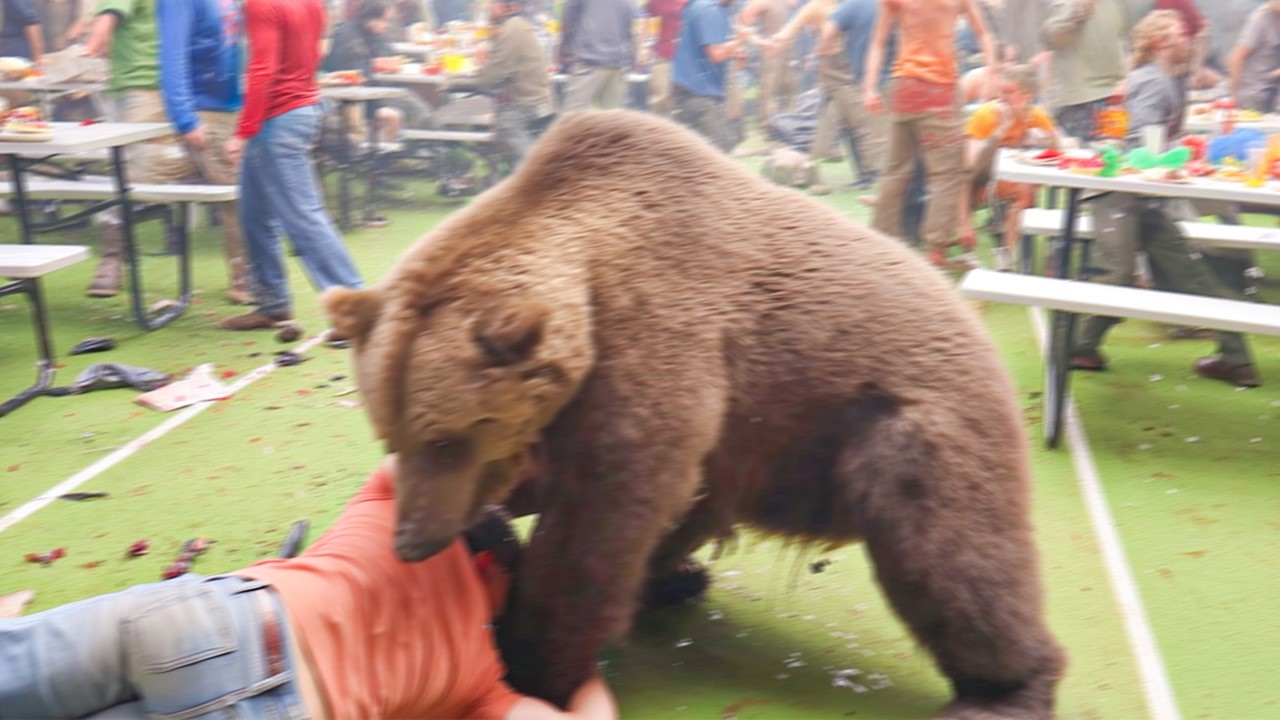 Grizzly Bear Attacks Festival and Kills 3 People on March 8th