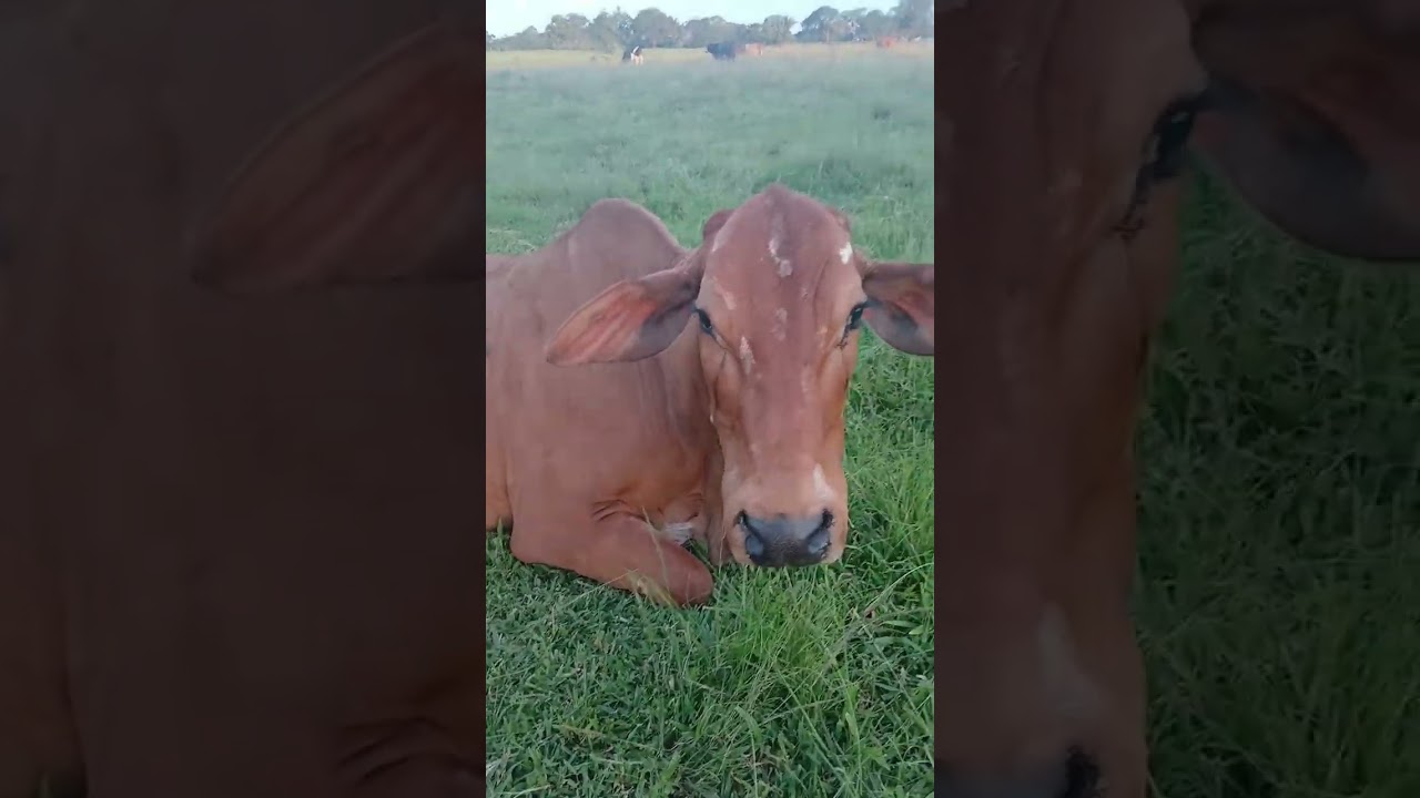 18 de janeiro de 2026