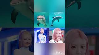 Subscribe for Q/A.. #kpop #babymonster #favouriteanimal #ygentertainment