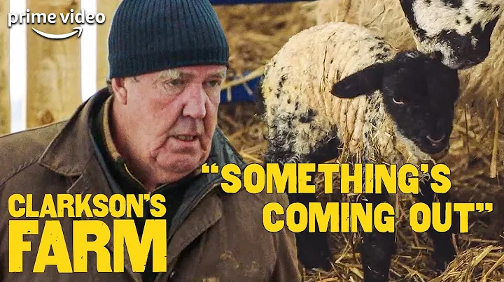 Jeremy Clarkson is Disgusted and Amazed at Sheep Birth | Clarkson's Farm | The Grand Tour