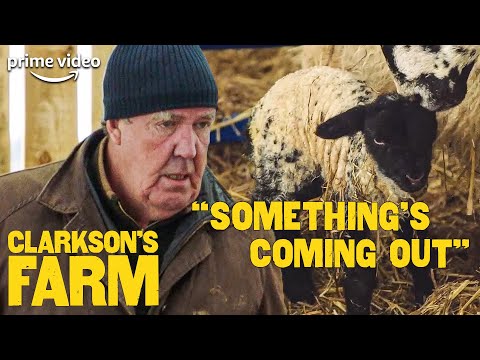 Video: Jeremy Clarkson: Tərcümeyi-hal, Karyera Və şəxsi Həyat