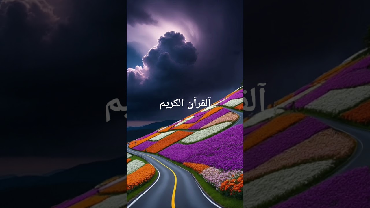 Beautiful Islamic reminder for every Muslim.Watch till end 🤍