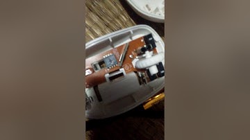 Bên trong chuột BOSSTON