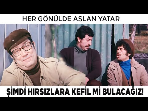 Her Gönülde Aslan Yatar | Danyal, Zeynel'in Polis Olması İçin Hırsızlarla Anlaşıyor!