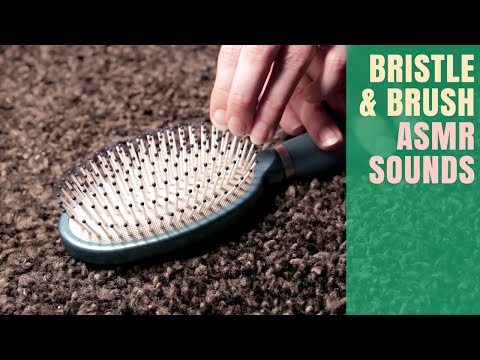 2 Intense ASMR Triggers ~ Brush Tapping & Bristle Sounds (no talking)
