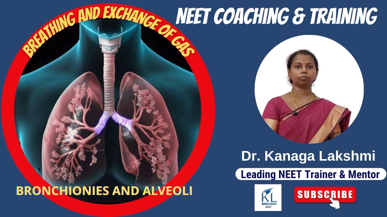 BREATHING AND EXCHANGE OF GAS - BRANCHIOLES AND ALVEOLI | Dr Kanaga Lakshmi | KL NEET Biology 2023 |