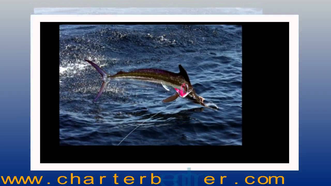 Fort Lauderdale Deep Sea Fishing TopShot Fishing Charters YouTube