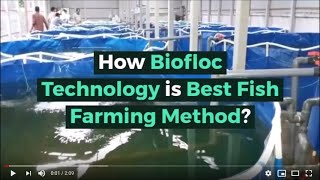 How Biofloc Technology Is Best Fish Farming Method ?