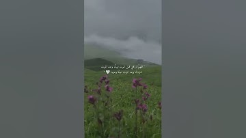 ♧يقول ياليتني قدمت لحياتي ♧تلاوة القارئ رعد الكردي 💙🎧