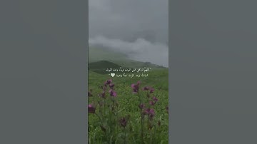 ♧يقول ياليتني قدمت لحياتي ♧تلاوة القارئ رعد الكردي 💙🎧