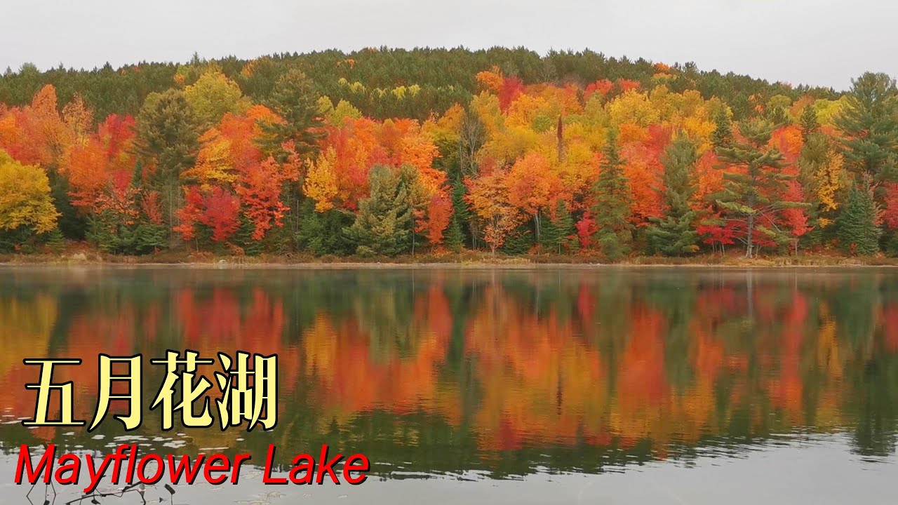 Mayflower Lake, 五月花湖之秋