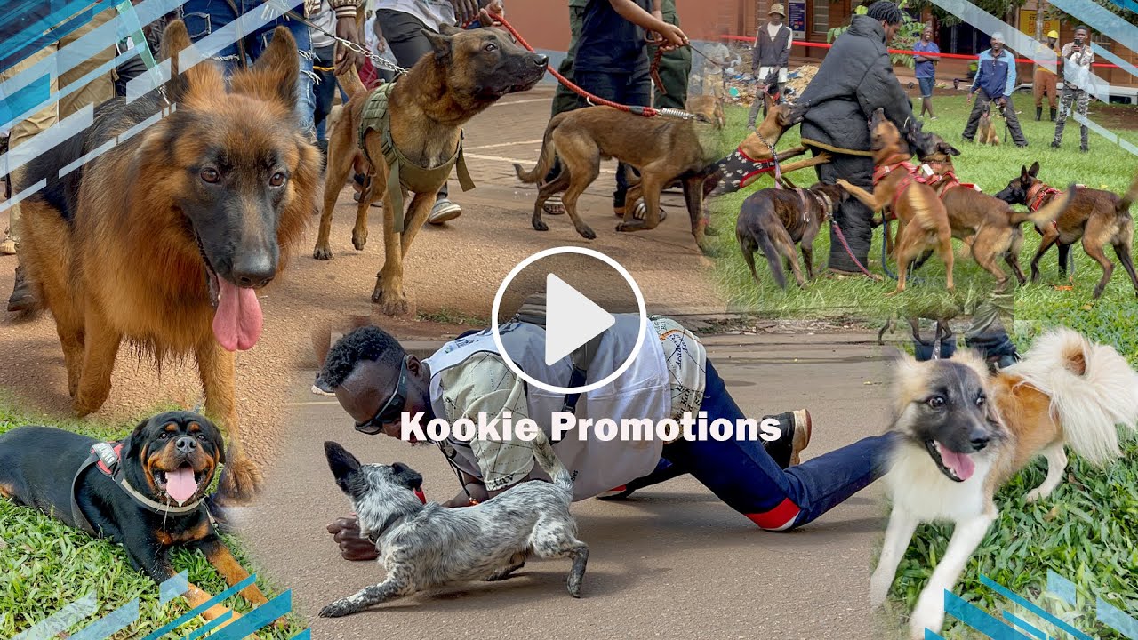 Dog Walk in Kampala: Uniting to Fight Rabies—Here’s What You Missed!!