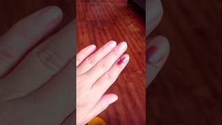 I Voted 😍 Darjeeling #Shorts