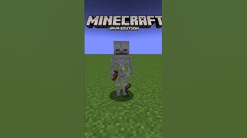 DIFERENCIAS ENTRE Minecraft Java y Minecraft Bedrock #20