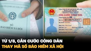 Từ 1/8, căn cước công dân thay mã số bảo hiểm xã hội | VTV4