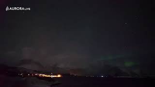 Aurora live from the Aurora Spirit Distillery. Norway