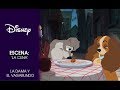 La escena mas romantica del cine - La dama y el Vagabundo