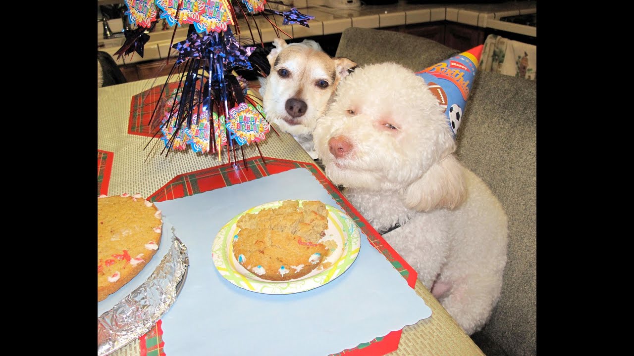 The Old Bum - Cisco Kid