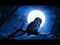 Deep Sleep Music 24/7, Insomnia, Sleep Meditation, Calm Music, Sleep Therapy, Relax, Study, Sleep