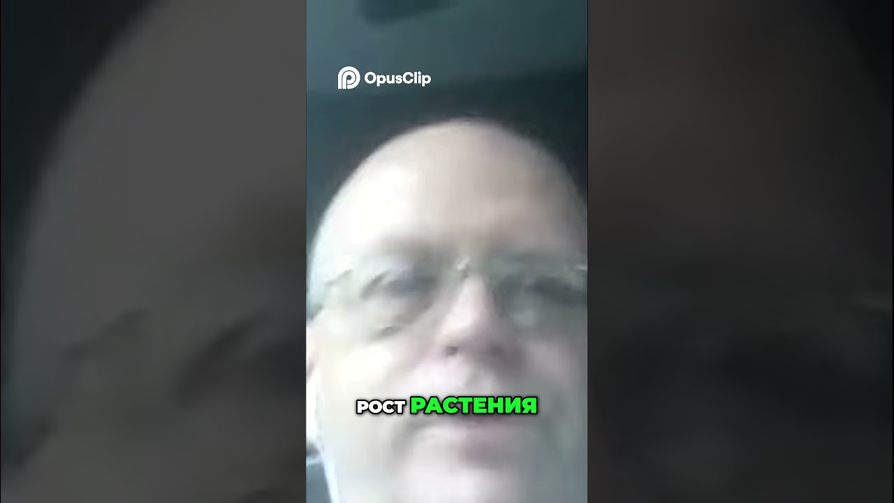 Как вырастить растение  Полное руководство для начинающих