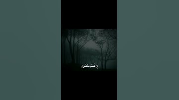 قُلْ مَن بِيَدِهِ مَلَكُوتُ كُلِّ شَيْءٍ | محمد صديق المنشاوي | سورة المؤمنون