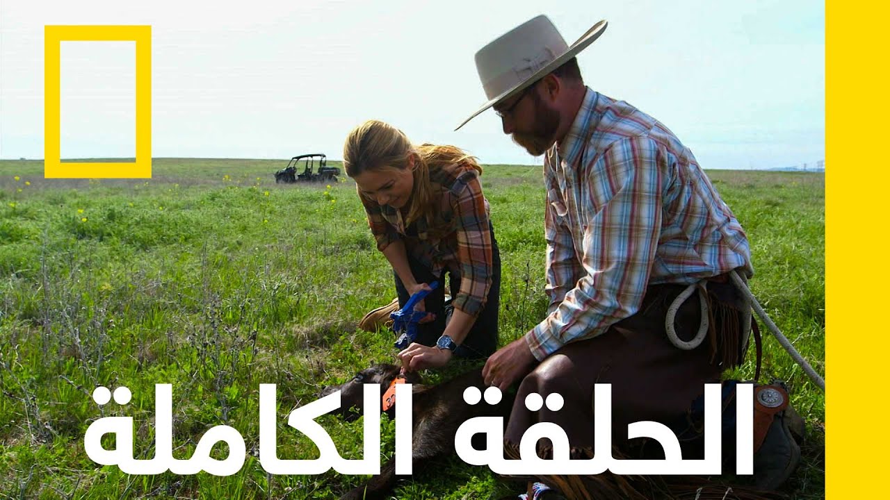 ����� ���� | ������ �� �������� ������� ��������� | ������� ��������� ������
 - نشر قبل 6 دقيقة