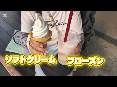 尾道をうろちょろ　千光寺山ロープウェイで展望台へ　