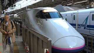 11/23/2024 Japan Railways Tohoku Shinkansen: Nasuno #253 E2 Series J75 Set from Tokyo to Omiya