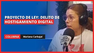 Mariana Carabajal sobre los nuevos proyectos para penalizar la violencia digital